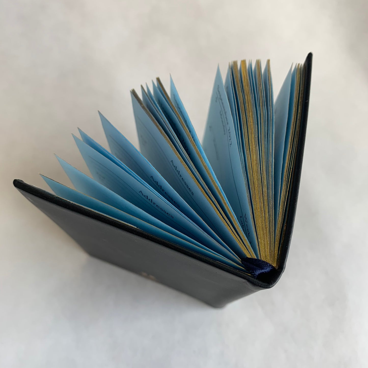 YEAR 2022 CALF Leather Pocket Agenda Book | 4 by 2.5" | D742C