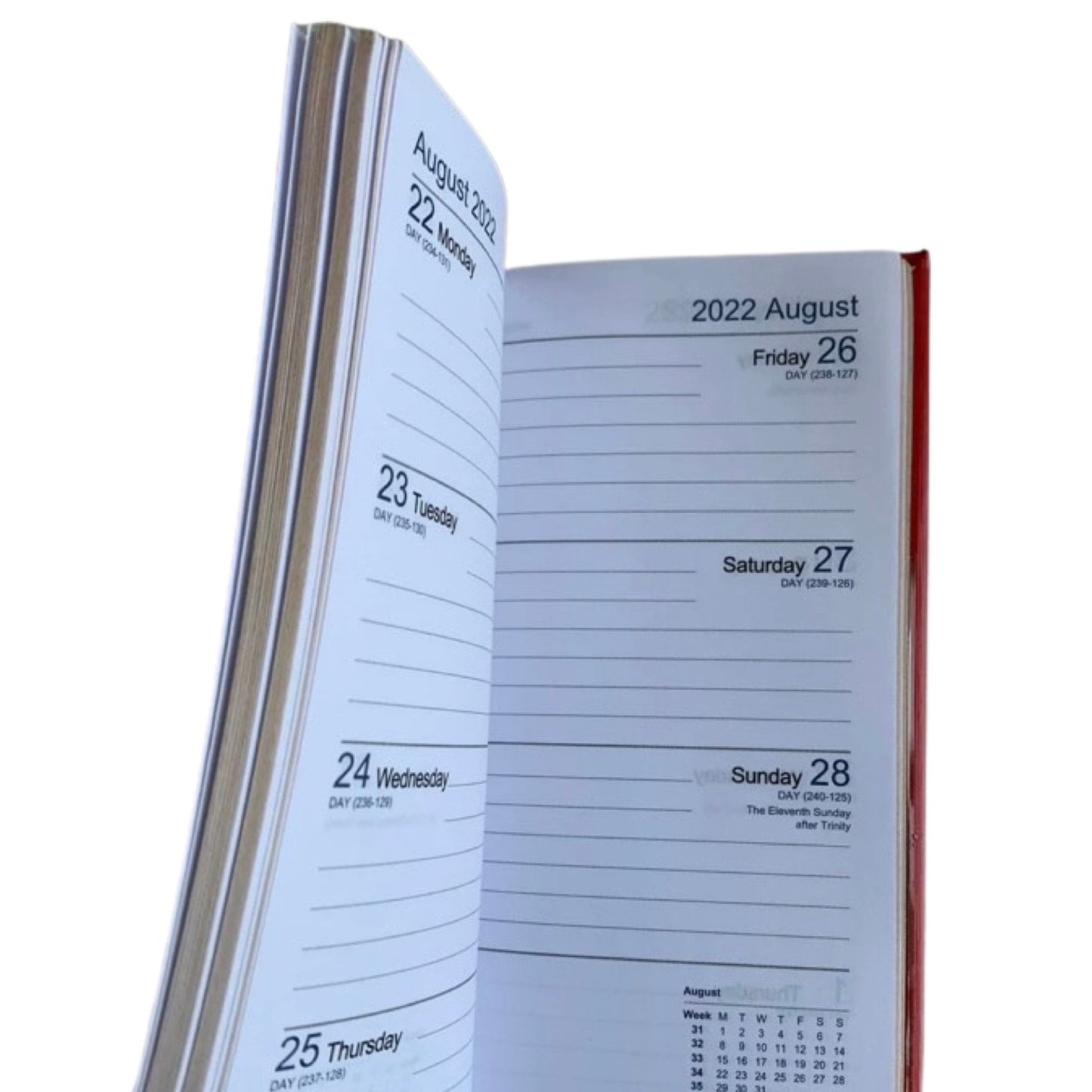 YEAR 2023 BONDED Leather Pocket Planner | 6 x 3" | D763VBL