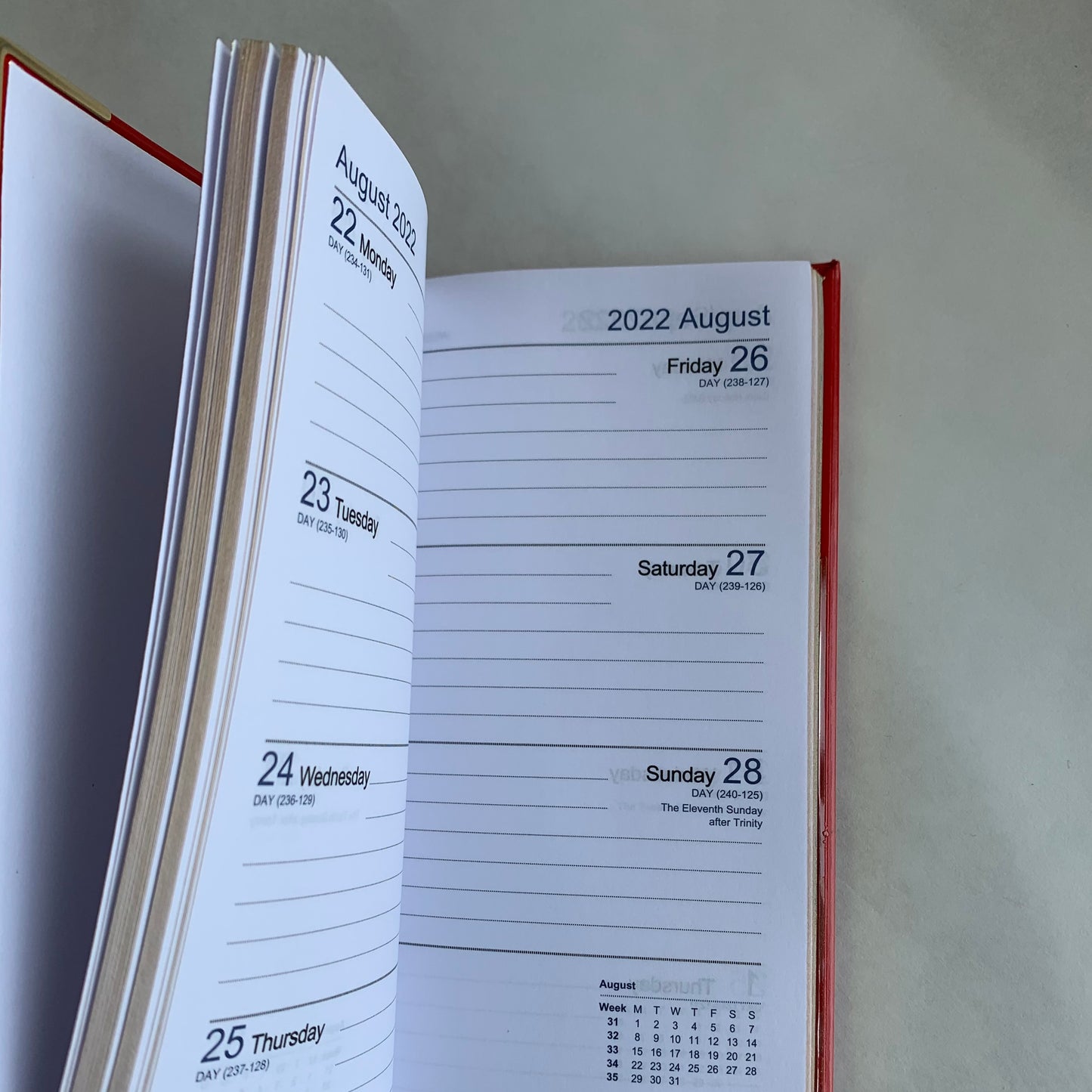 YEAR 2022 CALF Leather Pocket Agenda Book | 6 x 3" | D763VCA